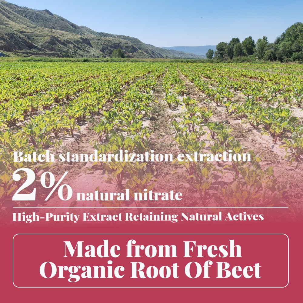 2-nitrate-organic-beetroot-extract-powde-4.jpg