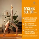 pure-organic-sulfur-msm-180-capsules-pre-3.jpg