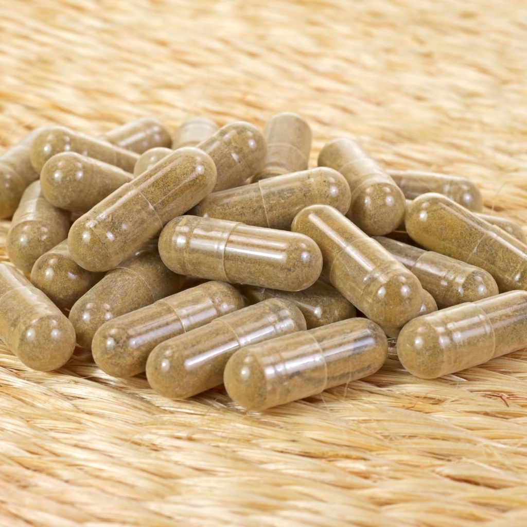 earthborn-elements-amla-extract-200-caps-4.jpg
