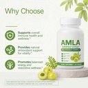 amla-capsules-amla-superfruit-capsules-v-6.jpg