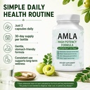 amla-superfruit-capsules-60-capsules-6.jpg