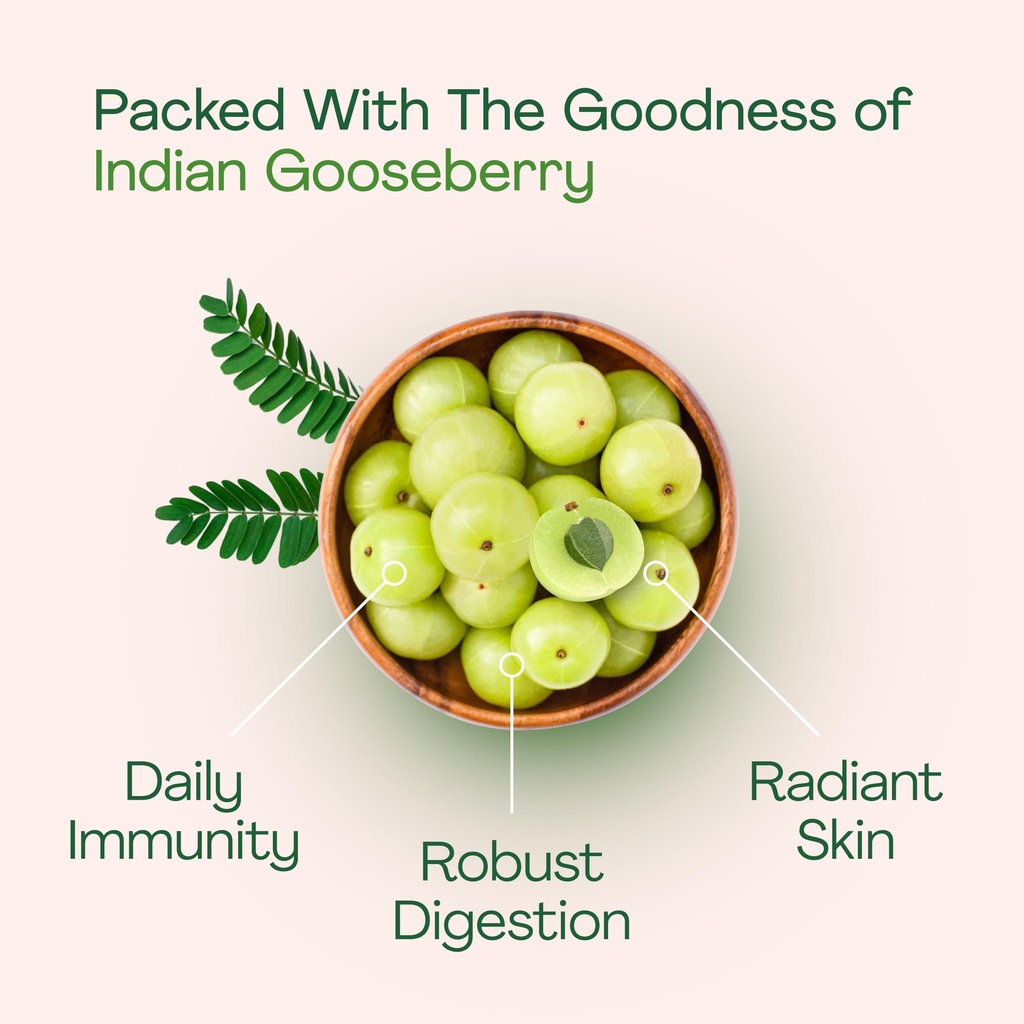just-jaivik-organic-amla-tablets-a-dieta-4.jpg