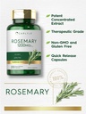 carlyle-rosemary-capsules-200-count-non--3.jpg