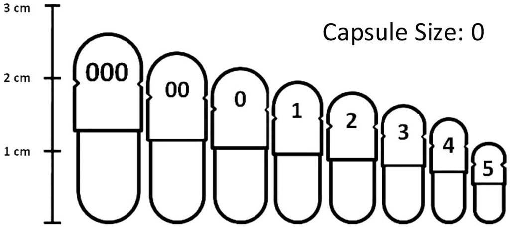 pancreas-system-180-caps-4.jpg