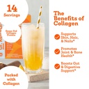 dr-kellyann-collagen-cooler-orange-cream-3.jpg