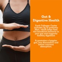 dr-kellyann-collagen-cooler-orange-cream-5.jpg