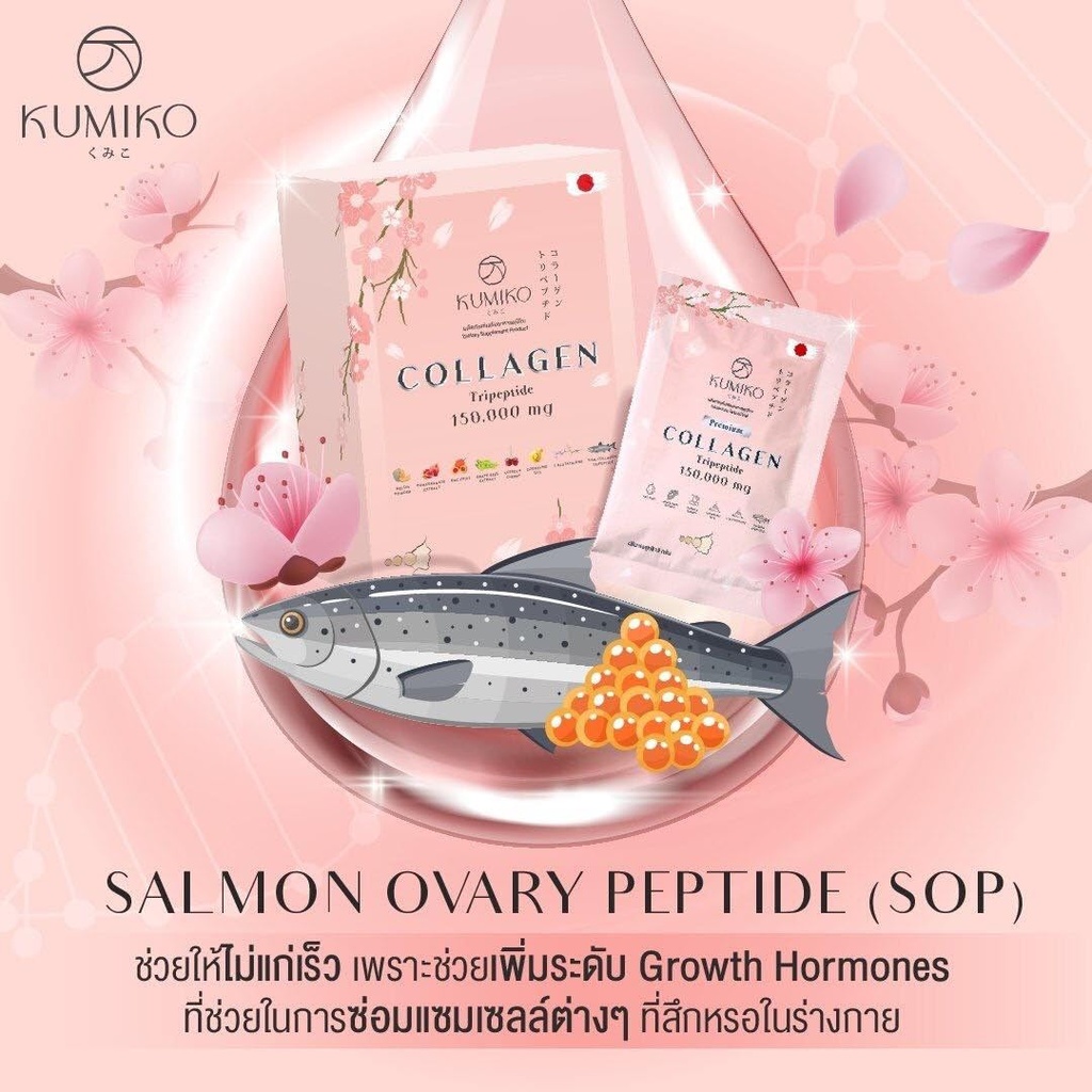 kumiko-collagen-premium-6.jpg