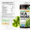 bio-krauter-irish-sea-moss-gummies-for-w-3.jpg