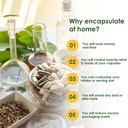 capsuline-clear-size-1-empty-vegetarian--5.jpg