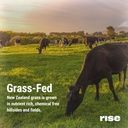 rise-grass-fed-whey-protein-powder-vanil-6.jpg