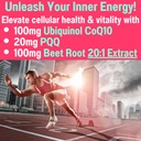 shizam-ubiquinol-coq10-pqq-astaxanthin-b-3.jpg