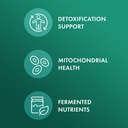 dr-mercola-organic-fermented-broccoli-sp-4.jpg