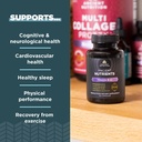 ancient-nutrition-vitamin-b12-supplement-3.jpg