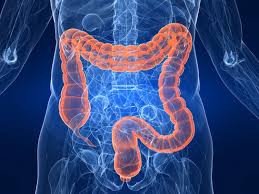 miracle-oxy-colon-cleanse-vegan-colon-cl-6.jpg