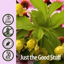 nature-s-answer-echinacea-and-goldenseal-5.jpg