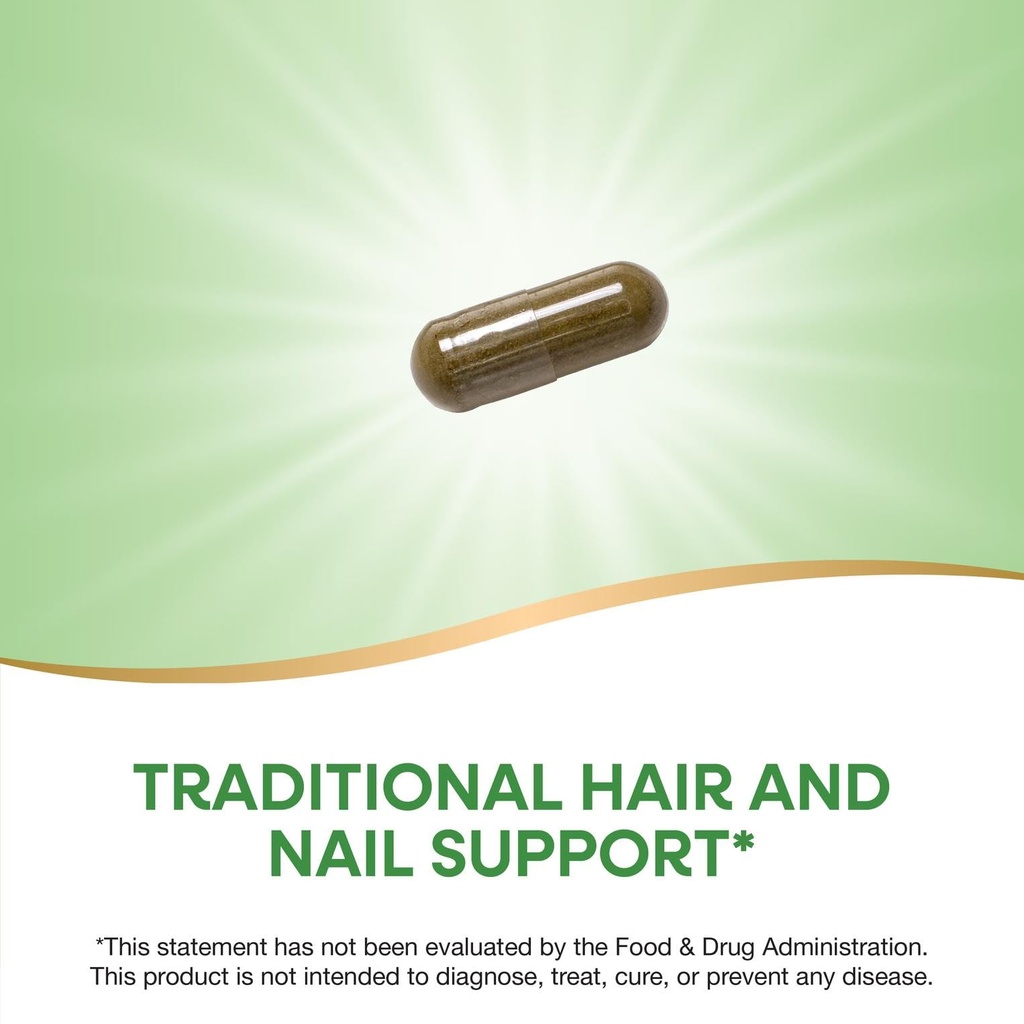 nature-s-way-premium-herbal-horsetail-gr-3.jpg