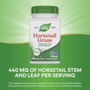 nature-s-way-premium-herbal-horsetail-gr-4.jpg