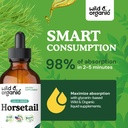 wild-organic-horsetail-herb-tincture-hai-4.jpg