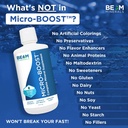 beam-minerals-micro-boost-complete-miner-4.jpg