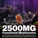 organic-functional-mushroom-gummies-with-2.jpg