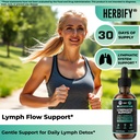 herbify-lymphatic-drainage-drops-for-liv-3.jpg