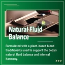 alora-lymphatic-drainage-drops-promotes--3.jpg