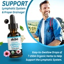 lymphatic-drainage-supplements-drops-pil-4.jpg