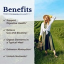 vitalitown-digestive-enzyme-3-in-1-formu-4.jpg