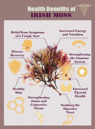 sea-moss-irish-moss-capsules-natural-veg-4.jpg