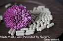 sea-moss-irish-moss-capsules-natural-veg-5.jpg