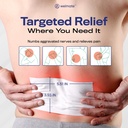 welmate-pain-patches-maximum-strength-li-3.jpg