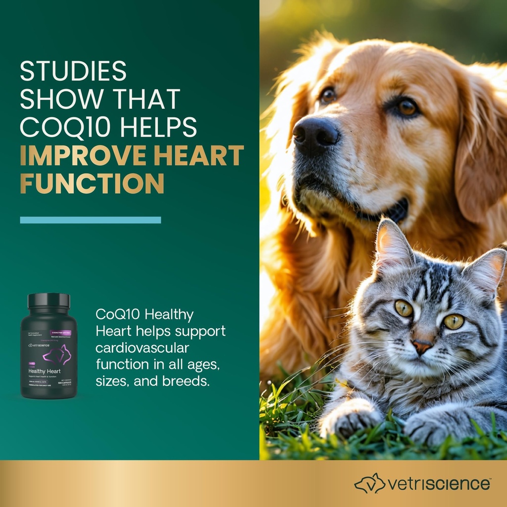 vetri-science-vetriscience-coenzyme-q10--3.jpg