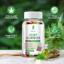 hemp-gummies-for-pain-sleep-anxiety-hemp-2.jpg