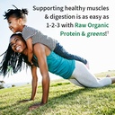 garden-of-life-powder-protein-greens-cho-3.jpg