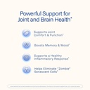 prohealth-turmeric-curcumin-supplement-2-3.jpg