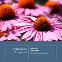 eclectic-institute-raw-fresh-freeze-drie-3.jpg