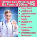 shizam-tmg-betaine-alpha-lipoic-acid-ala-3.jpg