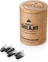 natural-shilajit-resin-20g-shilajit-hone-4.jpg