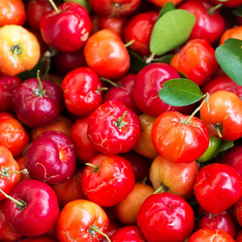 pure-original-ingredients-acerola-cherry-5.jpg