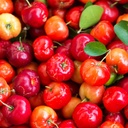 pure-original-ingredients-acerola-cherry-5.jpg