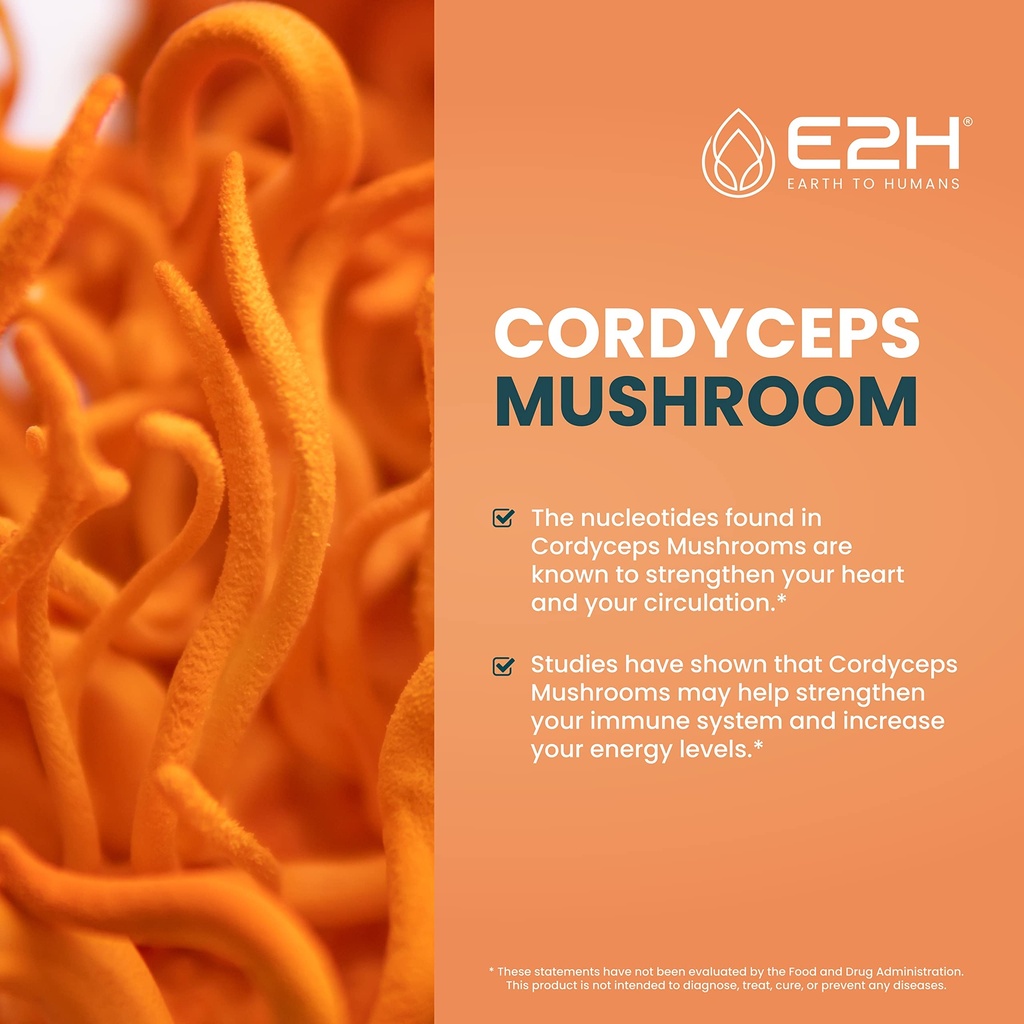 cordyceps-mushroom-supplement-faster-abs-3.jpg