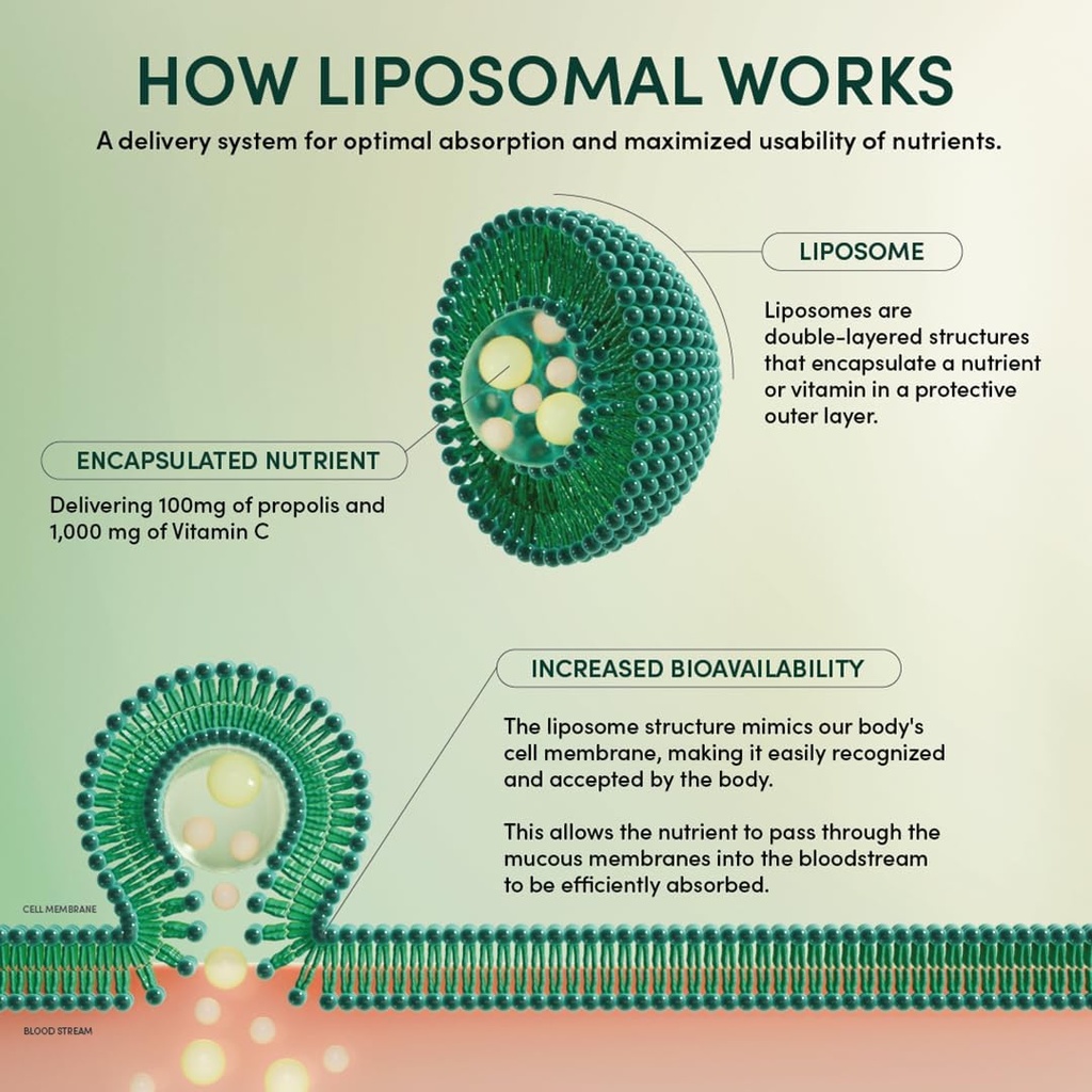 ashwagandha-liposomal-stress-support-by--5.jpg
