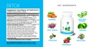 yes-you-can-detox-plus-kit-meal-replacem-5.jpg