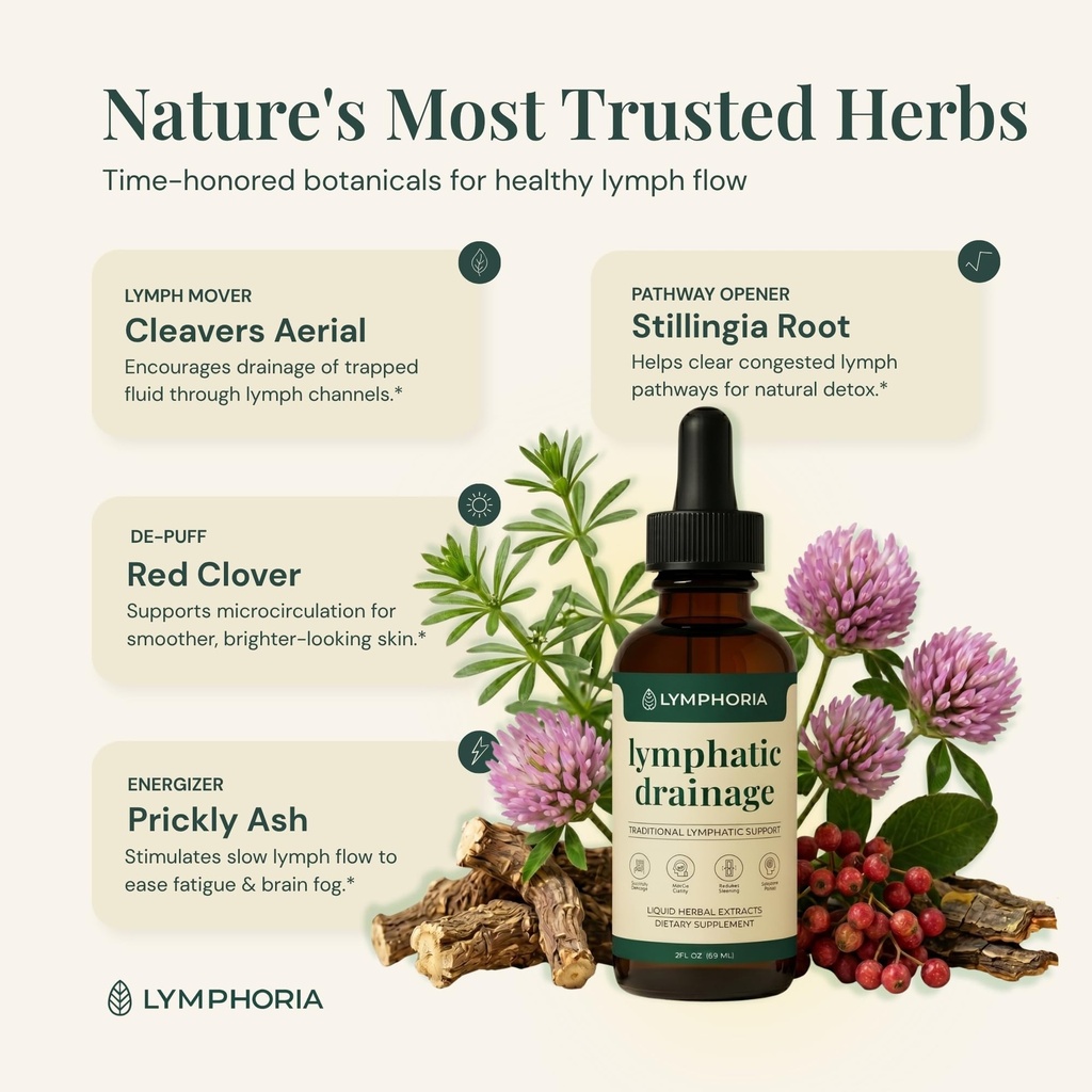 lymphatic-drainage-drops-for-bloat-relie-3.jpg