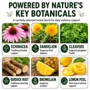 lymphatic-drainage-detox-supplement-natu-3.jpg
