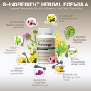 lymphatic-drainage-capsules-natural-herb-4.jpg