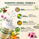 lymphatic-drainage-supplements-lymphatic-2.jpg