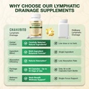 lymphatic-drainage-supplements-lymphatic-6.jpg
