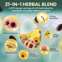 lymphatic-drainage-supplements-4275mg-he-3.jpg