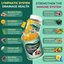 liposomal-lymphatic-drainage-supplements-6.jpg